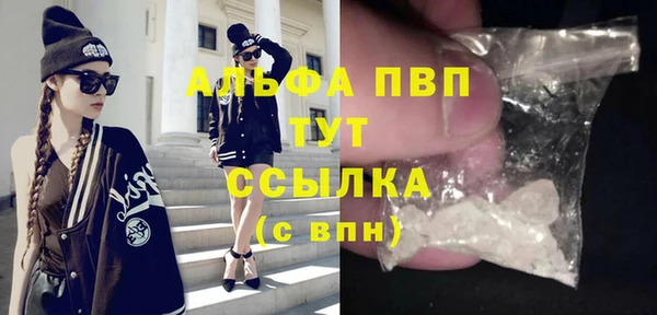 молекула духа Алексин