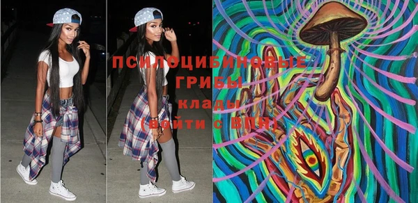 молекула духа Алексин