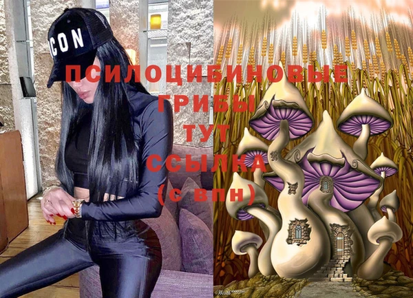 ПСИЛОЦИБИНОВЫЕ ГРИБЫ Алзамай