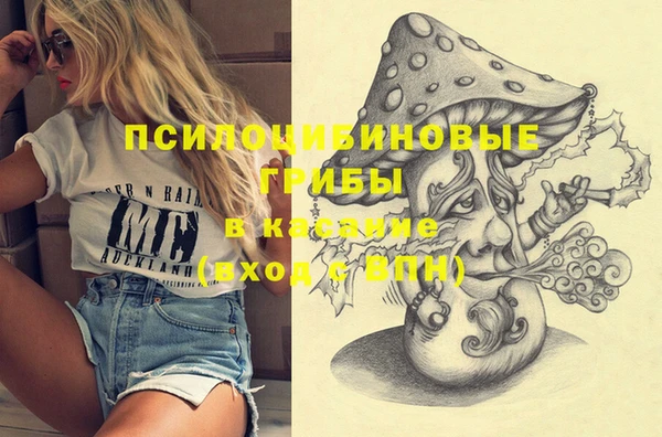 ПСИЛОЦИБИНОВЫЕ ГРИБЫ Алзамай