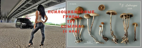 ПСИЛОЦИБИНОВЫЕ ГРИБЫ Алзамай