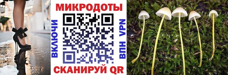 KRAKEN   Юрьев-Польский  Галлюциногенные грибы ЛСД 